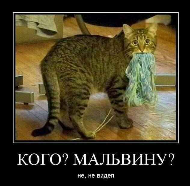 7 КОГО МАЛЬВРПіУ не не видел
