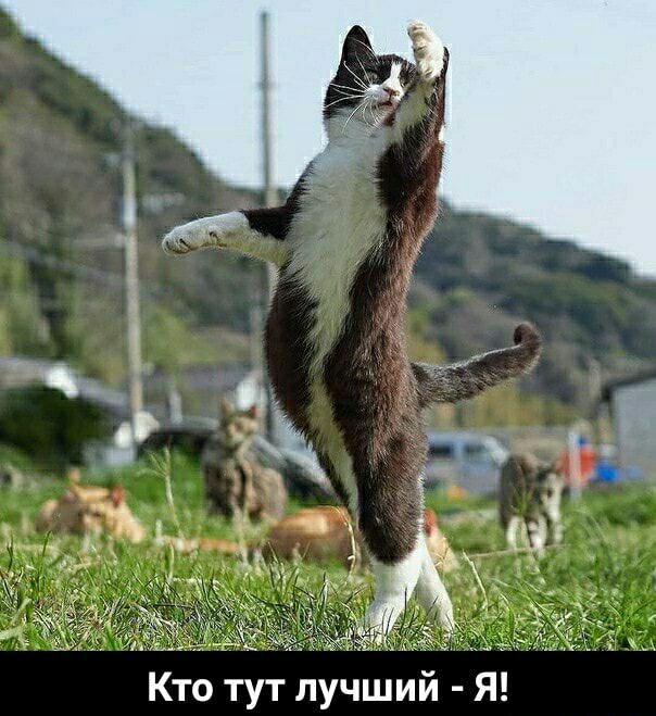 Кто тут лучший Я