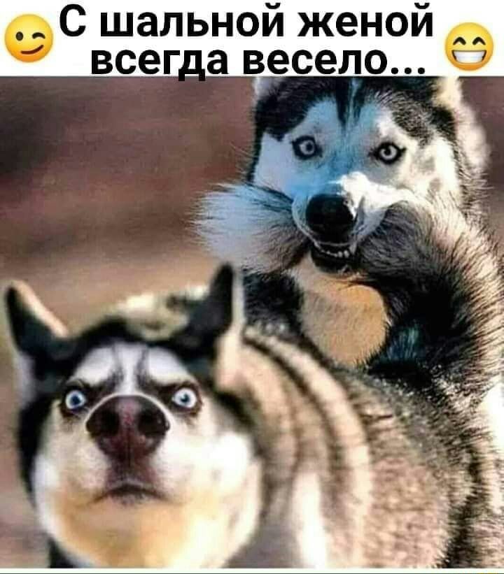 С шальной женой всег_а велсео