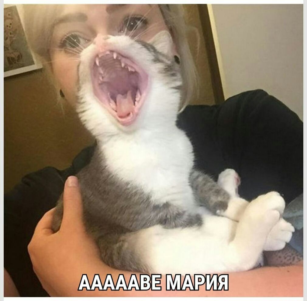 АААААВЕ ммэия