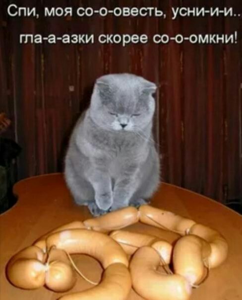 СПИ МОЯ СО О ОВВСГЬ УСНИ И И та а азки скорее ОО О ОМКНИ