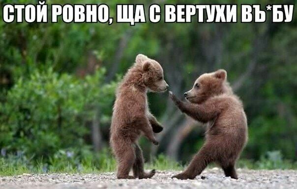 тоъ1озпшд_ ниши въъи