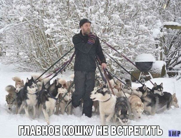 ГЛАВНФЕК УШЁ ВСТРЕТИТЬ