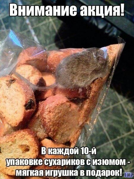 в жажда ю и упаковке спапиипвёдизюмом пиная ишушиа в подарок
