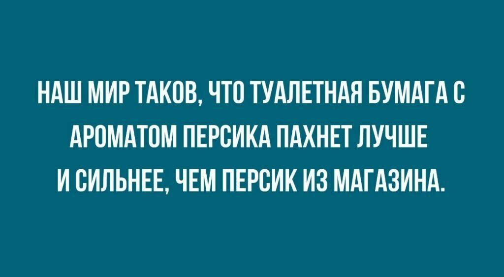 НАШ МИР ТАКОВ ЧТО ТУАЛЕТНАЯ БУМАГА В АРПМАТПМ ПЕРВИКА ПАХНЕТ ЛУЧШЕ И СИЛЬНЕЕ ЧЕМ ПЕРСИК ИЗ МАГАЗИНА