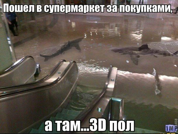 іношеп в иппшмапмат ёё пдЁугТнаЁйЁ Ё ы ід і _ а тамзп ііёп