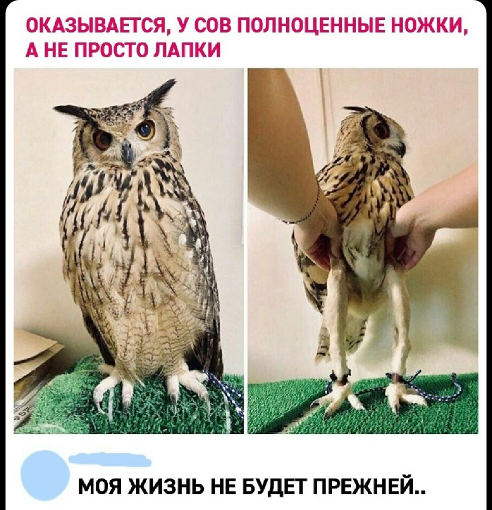 МОЯ ЖИЗНЬ НЕ БУДЕТ ПРЕЖНЕЙ