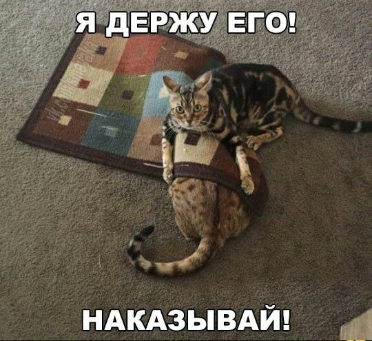 ндкдзывдй