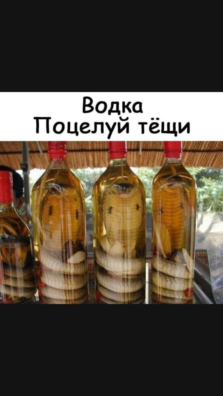 Водёа __ Поцелуи тещи
