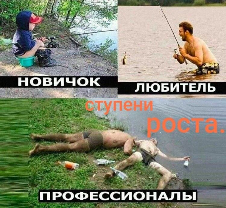 пРбфвсёионАлрр_