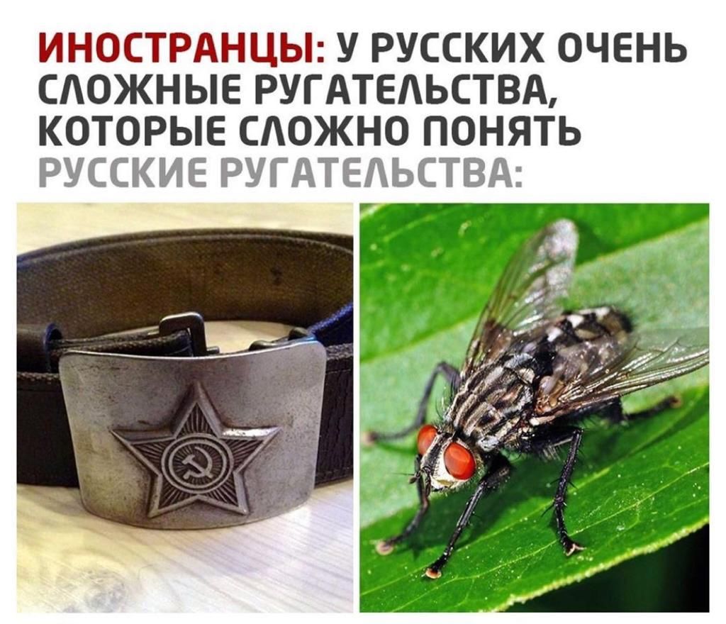 ИНОСТРАНЦЫ У РУССКИХ ОЧЕНЬ САОЖНЫЕ РУГАТЕАЬСТВА КОТОРЫЕ САОЖНО ПОНЯТЬ РУССКИЕ РУГАТЕАЬСТВА