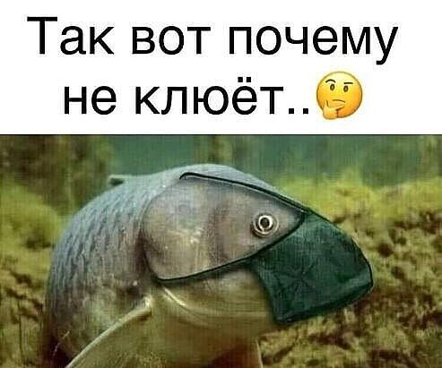 Так вот почему не клюётк7іт