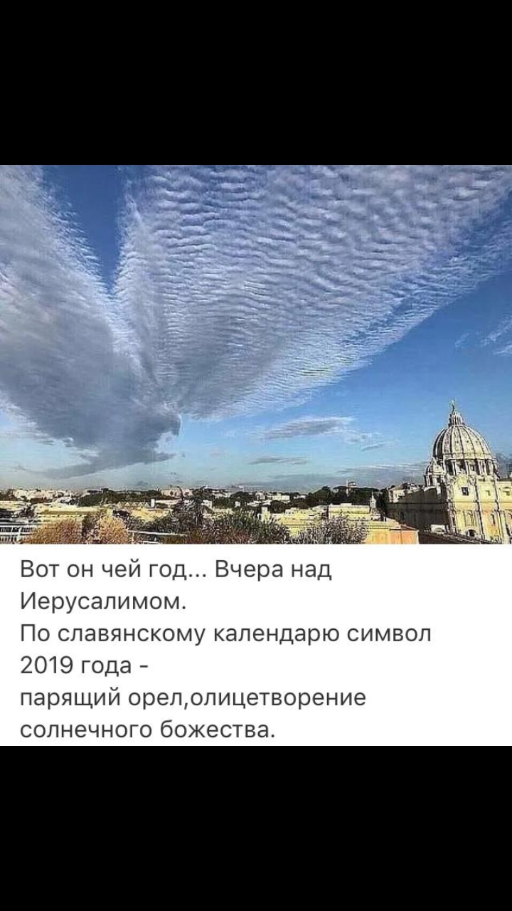 Вот он чей год Вчера над Иерусалимом По славянскому календарю символ 2019 года парящий орелолицетворение солнечного божества