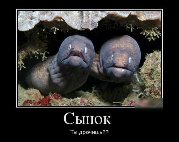 Сынок Ты дрочишь