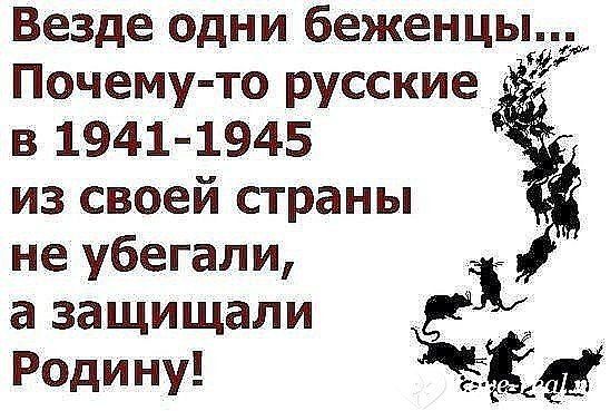 Везде одни беженцы Почему то русские в 1941 1945 из своей страны не убегали Ё а ЗЗЩИЩЗЛИ Родину ЁЁЩ