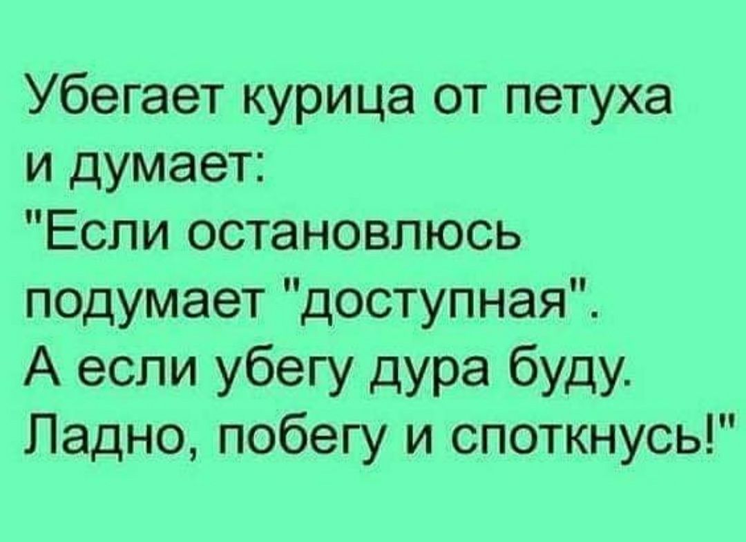 Убегает курица от петуха и думает Если остановлюсь подумает доступная А если убегу дура буду Ладно побегу и споткнусь