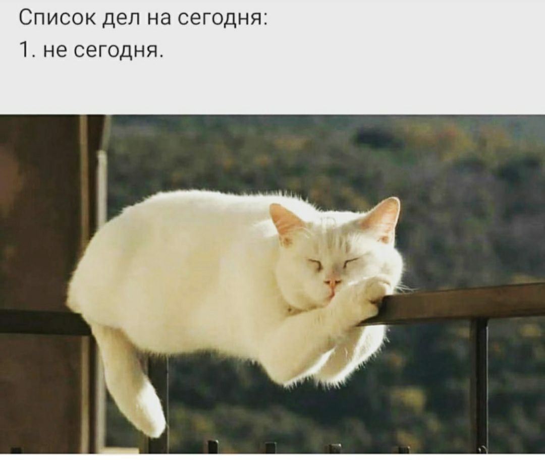 Список дел на сегодня 1 не сегодня