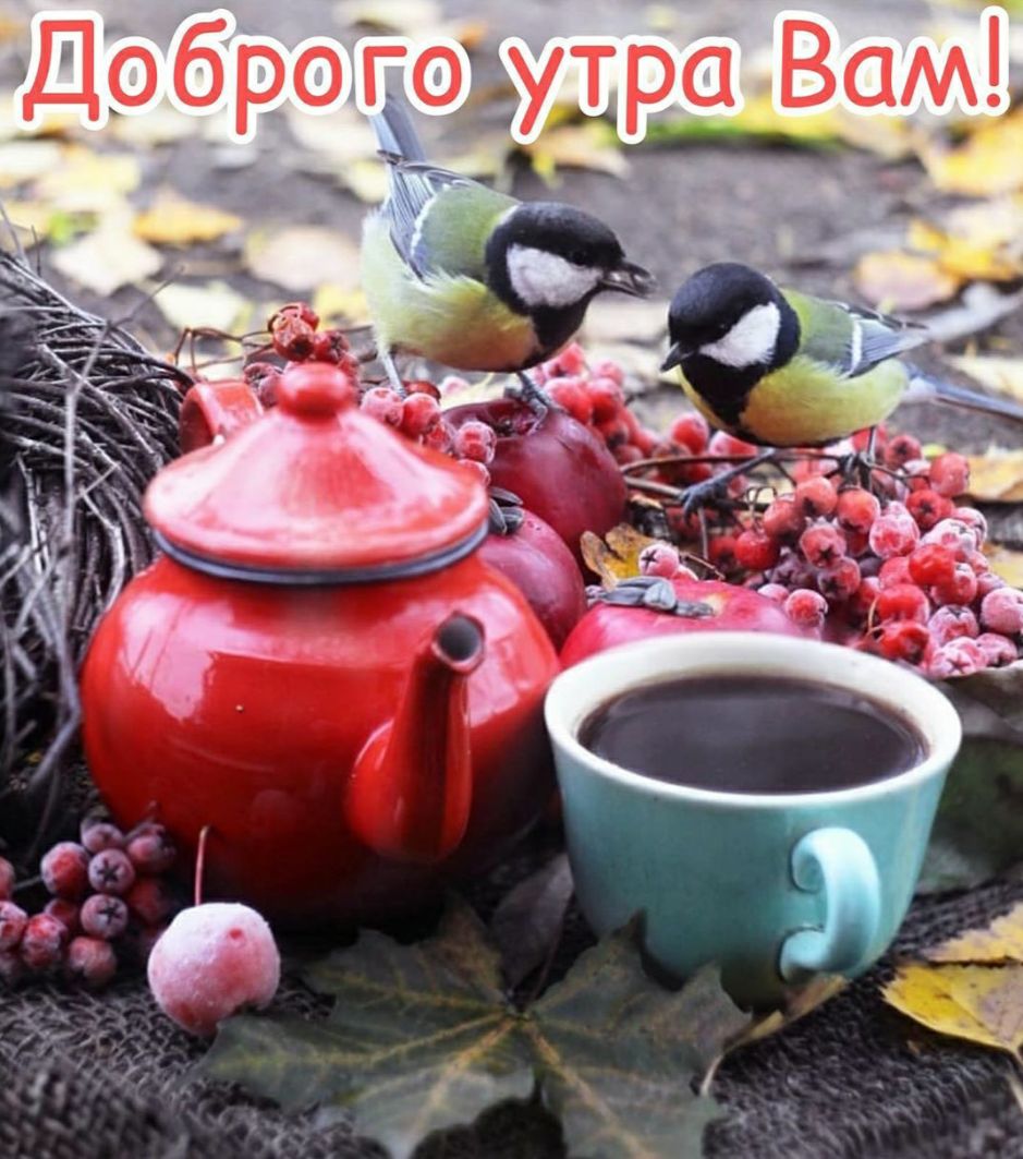 Доб ро говутра Вам _ мм