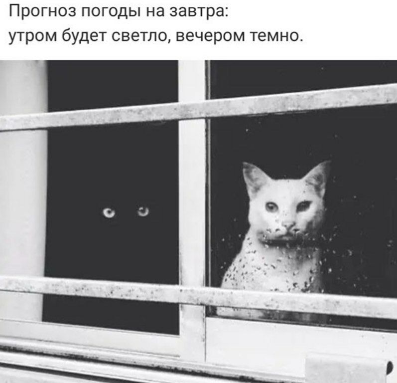 ПРОГНОЗ ПОГОДЫ Нд завтра УТРОМ будет СВЕТЛО вечером темно