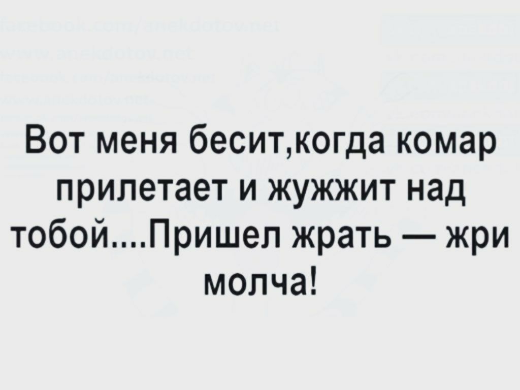 Вот меня беситкогда комар прилетает и жужжит над тобойПришел жрать жри молча