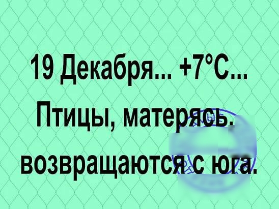 19 Декабря 7С Птицы матеряаы возвращаютсяж юга