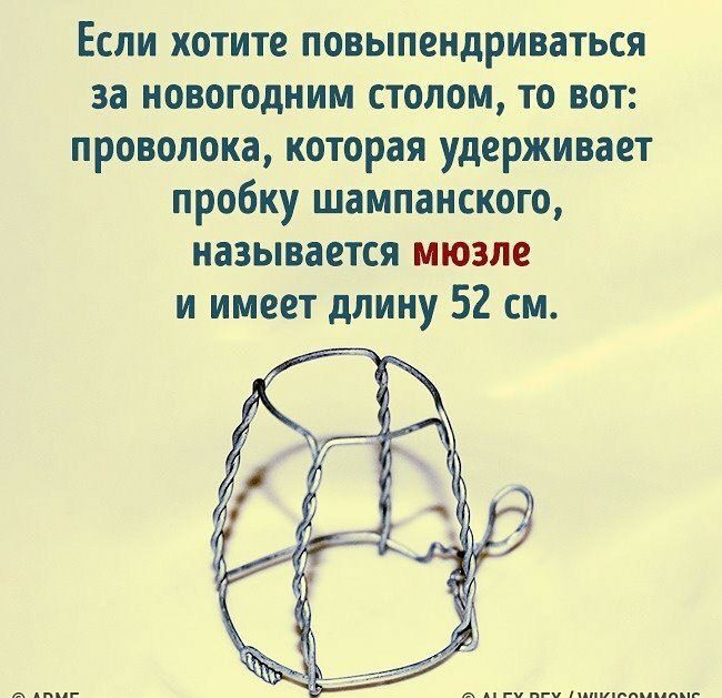 Если хотите повыпендриваться за новогодним столом то вот проволока которая удерживает пробку шампанского называется мюзле и имеет длину 52 см