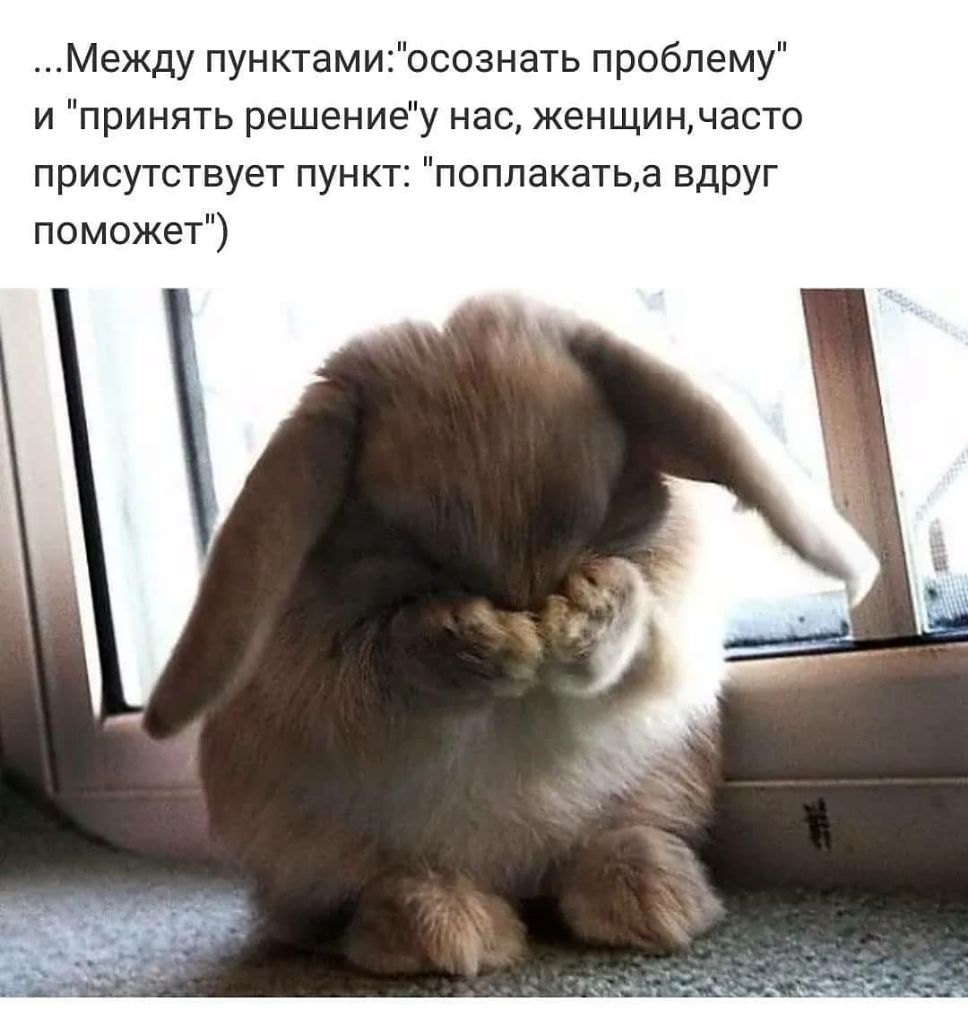 Между пунктамиосознать проблему и принять решениеу нас женщинчасто присутствует пункт поплакатьа вдруг поможет