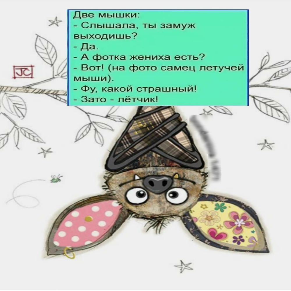Две мышки Слышала ты замуж выходишь Да А фотка жениха есть Вот на фото самец летучей мыши Фу какой страшный Зато лётчик