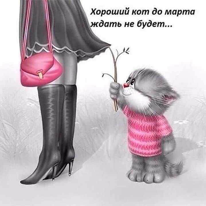 Хороший кот до марта дать не будет
