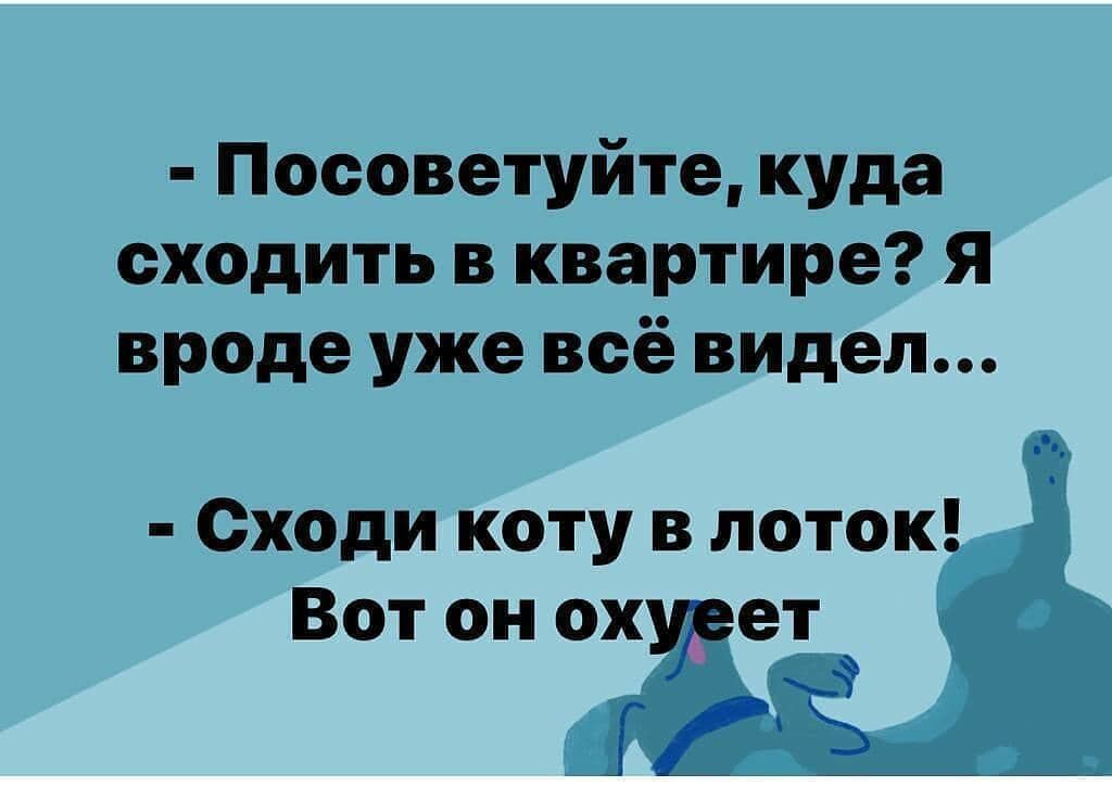 Посоветуйте куда сходить в квартире Я вроде уже всё видел Сходи коту в поток Вот он ох ет