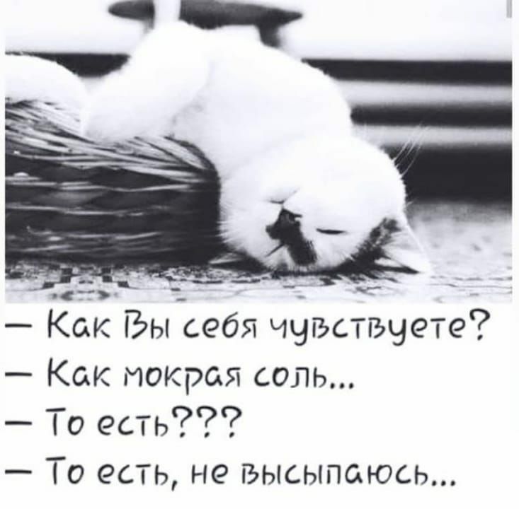 Как Вы себя чувствчете Как покроя соль То есть То есть не высыпаюсь