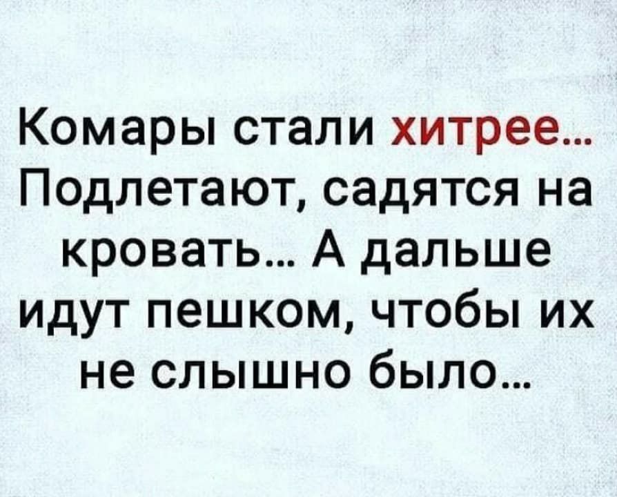 Комары стали хитрее Подлетают садятся на кровать А дальше идут пешком чтобы их не слышно было