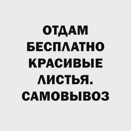 ОТДАМ БЕСПААТНО КРАСИВЫЕ АИОТЬЯ САМОВЫВОЗ