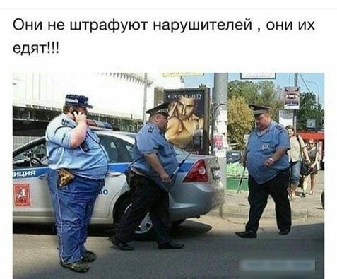 Они не штрафуют нарушителей они их едят