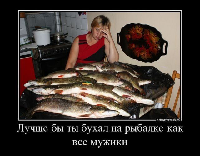 Лучше бы ты бухал на рыбалке как все мужики
