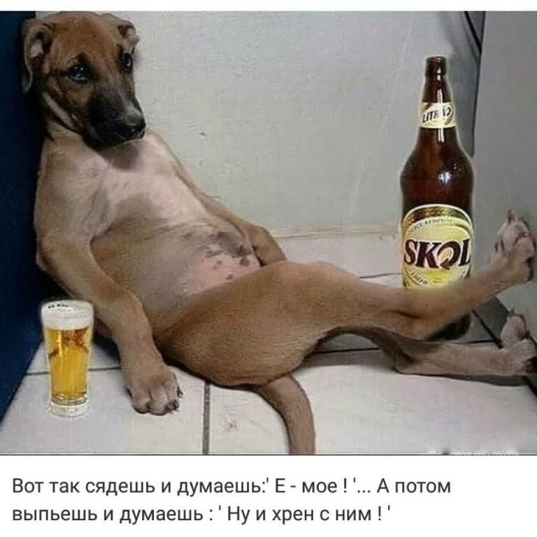 Вот так сядешь и думаешь Е мое А потом выпьешь и думаешь Ну и хрен с ним