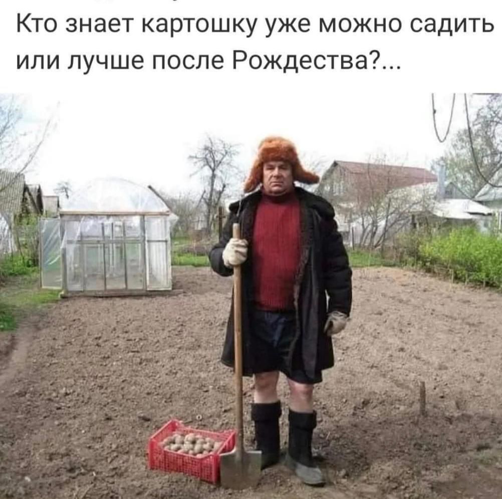Кто знает картошку уже можно садить или лучше после Рождества гп Ё