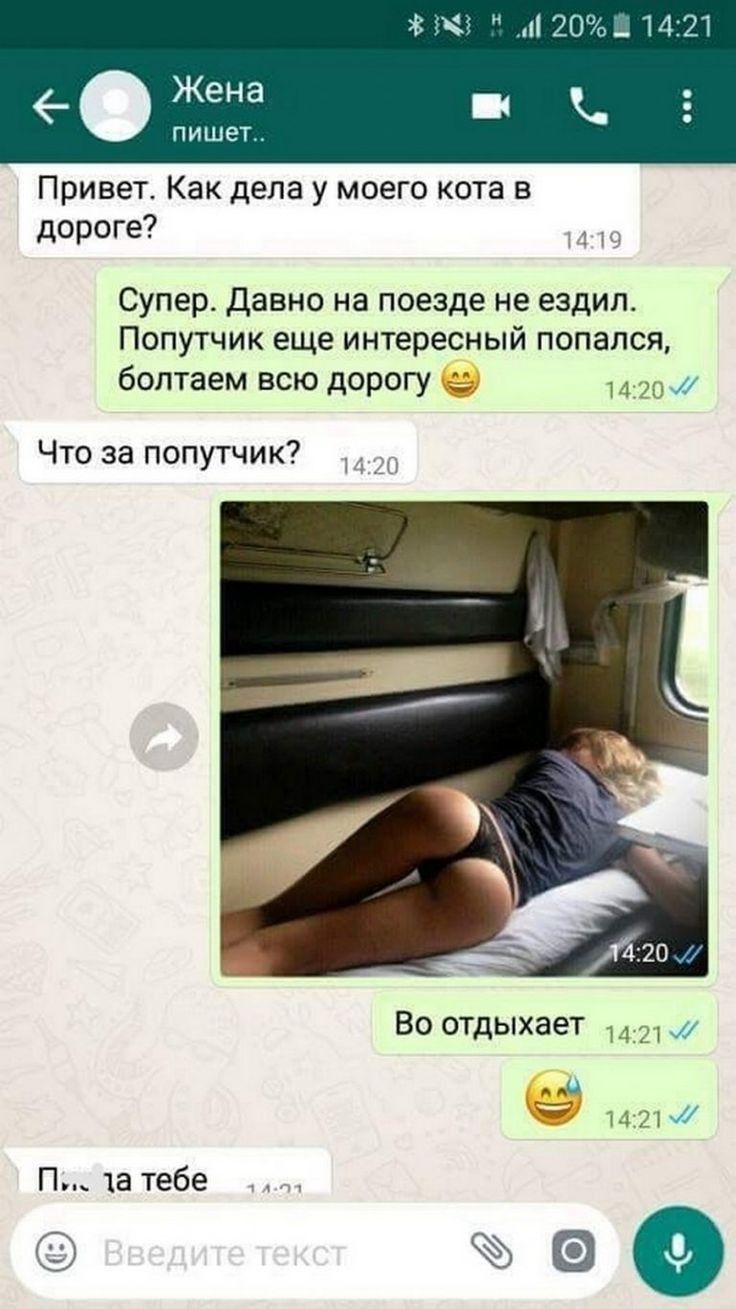 Привет Как дела у моего кота в дороге Супер Давно на поезде не ездил Попутчик еще интересный попался болтаем всю дорогу 1 д тж Что за попутчик П та тебе 590