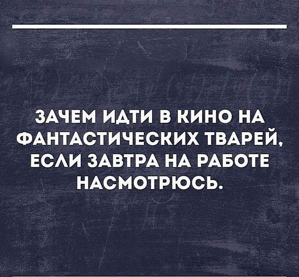 ЗАЧЕМ ими в кино НА ФАНТАСТИЧЕСКИХ ТВАРЕЙ ЕСАИ ЗАВТРА НА РАБОТЕ НАсмотрюсь