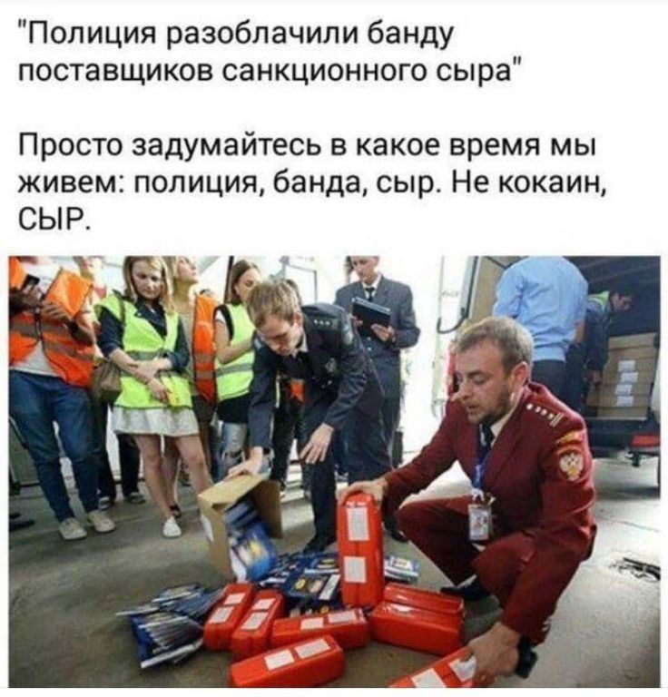 Полиция разоблачили банду поставщиков санкционного сыра Просто задумайтесь в какое время мы живем полиция банда сыр Не кокаин