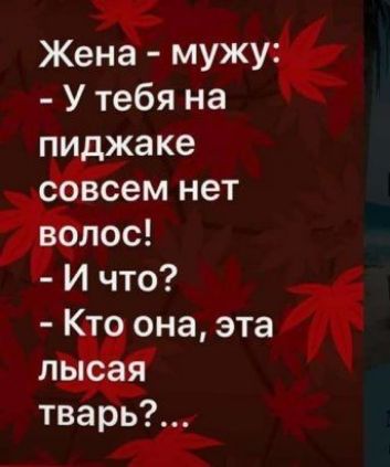 Жена мужу У тебя на пи жаке сем нет улос И что 0 она эта и тварь