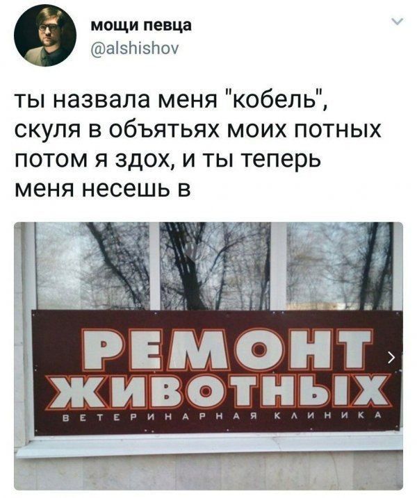 мощи певца аізічізічох ты назвала меня кобель скуля в объятьях моих потных потом я здох и ты теперь меня несешь в Ремонт ЖИВОТННХ акгьрнндвндч
