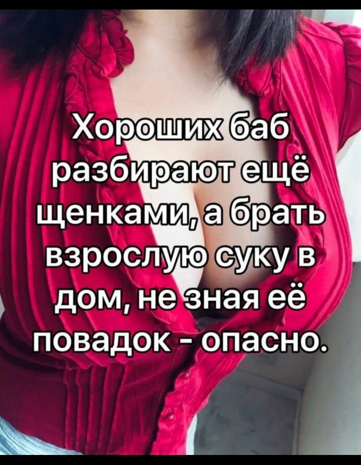 щенками а братиё взрослую Ёжку в дом незнаяеё повадок опасно