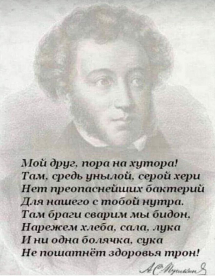 Мой друг пора на хутора Там средь унылой серой хари Нет преопаснейших бактерий Для нашего с тобой нутра Там браги сварши мы бидон Нарежем хлеба отца лука И ни одна болячка сука Не пошатнёт здоровья трон
