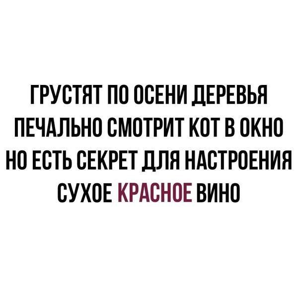 ГРУСТЯТ ПО ОСЕНИ ДЕРЕВЬЯ ПЕЧАЛЬНО СМОТРИТ КОТ В ОКНО НО ЕСТЬ СЕКРЕТ ДЛЯ НАСТРОЕНИЯ СУХОЕ КРАСНОЕ ВИНО