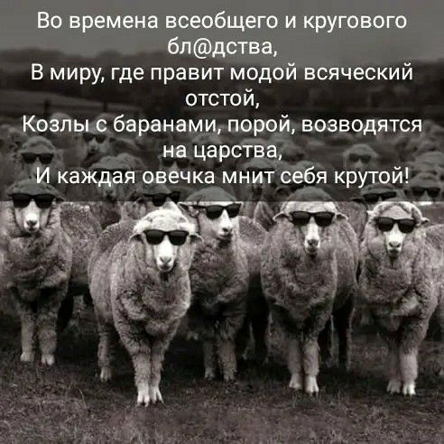 Женщины сложные создания Даже ключ от сердца нужно вставлять в другое место