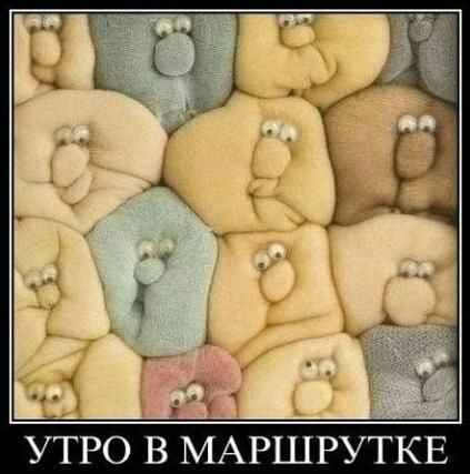 УТРО В МАРШРУТКЕ