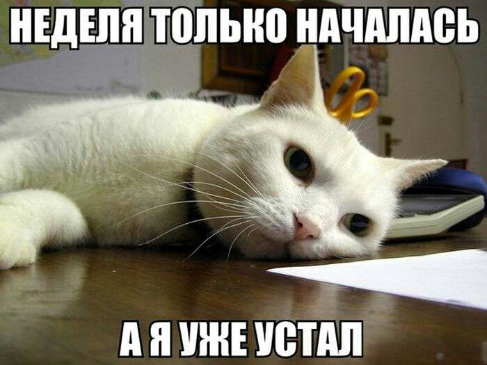 НЕДШЯТПЛЬНП НАЧАЛАСЬ э _ _ А Н УЖЕ ЮТАП