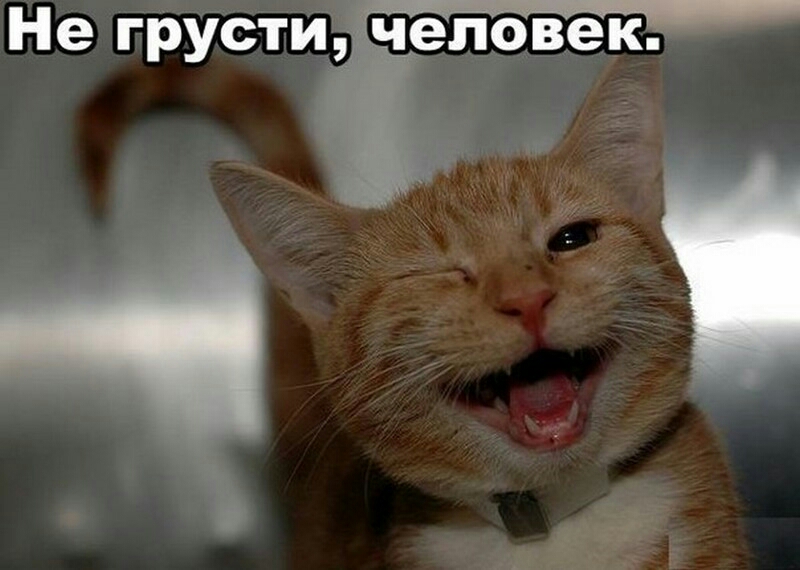 Не грусти