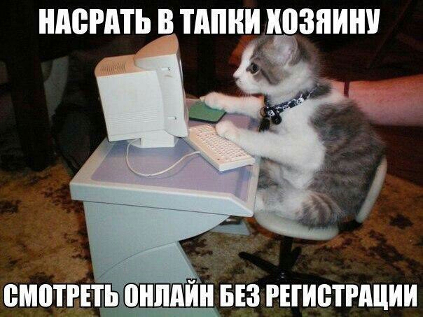 ШШРАТЬ В ШШШ ШЗПИШ ВМППЕТЬ ШШПЙНБЕЗ РЕГИВТНЩИИ